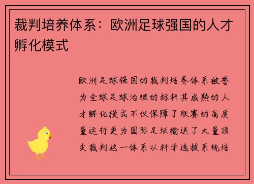 裁判培养体系：欧洲足球强国的人才孵化模式